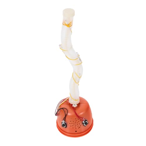 BESTonZON Zubehör Kaktus Babyspielzeug Bauchspielzeug Zappelkaktusspielzeug Fernbedienungsauto Schaukelspielzeug Teil Babykaktusspielzeug Sprechendes Kaktusspielzeug Fliegenkrabbelnde Hand BESTonZON Zubehör Kaktus Babyspielzeug Bauchspielzeug Zappelkaktusspielzeug Fernbedienungsauto Schaukelspielzeug Teil Babykaktusspielzeug Sprechendes Kaktusspielzeug Fliegenkrabbelnde Hand von BESTonZON