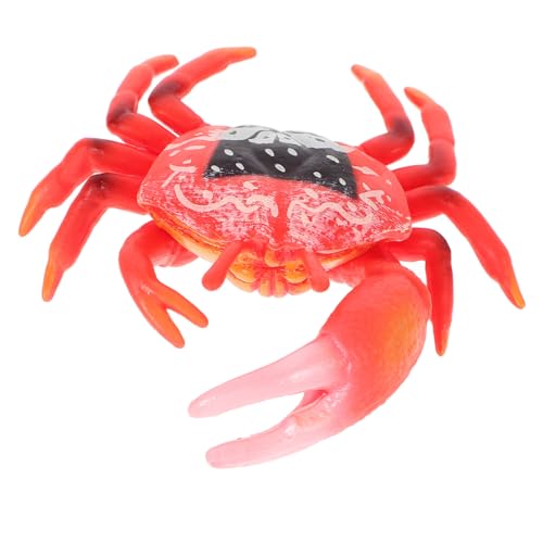 BESTonZON kreative krabbe Oh Junge Modell Dekoration favorisieren Wissenschaft für kinderspielzeug Aquarium kinderspielsachen Partykrabbe gefälschte Krabbe Plastik BESTonZON kreative krabbe Oh Junge Modell Dekoration favorisieren Wissenschaft für kinderspielzeug Aquarium kinderspielsachen Partykrabbe gefälschte Krabbe Plastik von BESTonZON