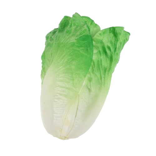 BESTonZON künstlicher Salat realistische Salatstütze Fake-Food-Salat falscher Simulation Gemüsemodell Simulationssalatmodelle künstliche Karotten Salat-Requisite grüner Blattsalat PVC von BESTonZON