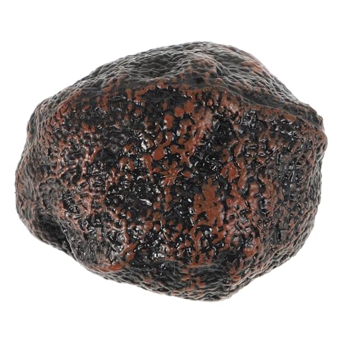 Modell mit schwarzem Trüffel Kinderspielzeug Mini- Indoor-Langhantel Gemüse Lernspielzeug für Simulationsspielzeug Kinderzubehör Plastik Black BESTonZON von BESTonZON