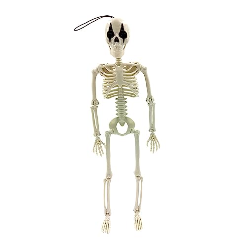 BFANGLC Schreckliche Skelette für Halloween Skelett Spielzeug mit langem hängenden Seil für eine von BFANGLC