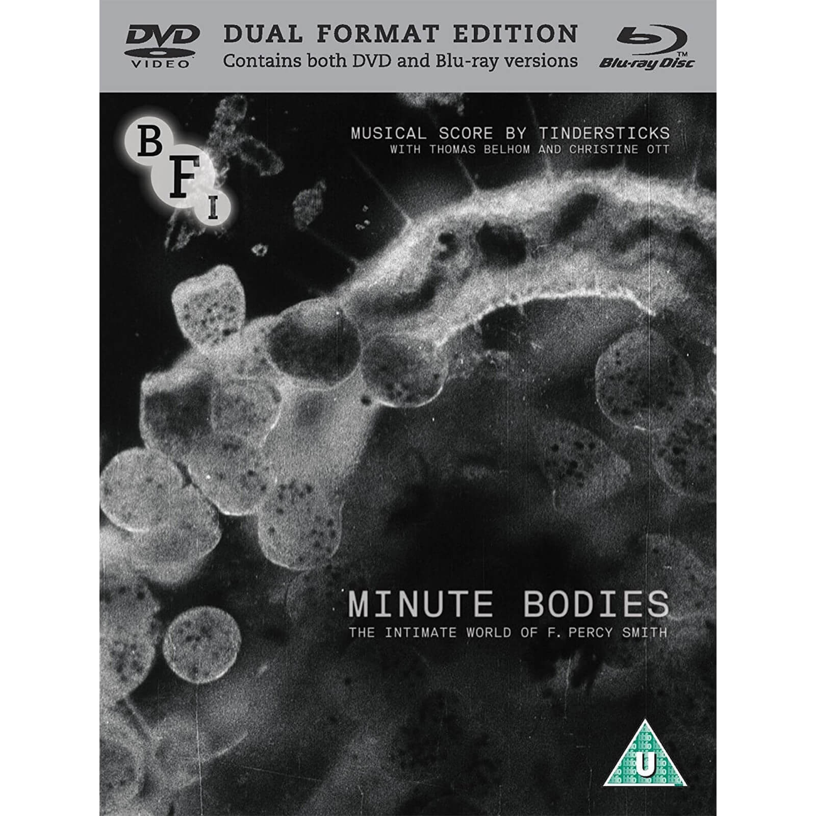 Minutengenaue Körper Minutengenaue Körper von BFI