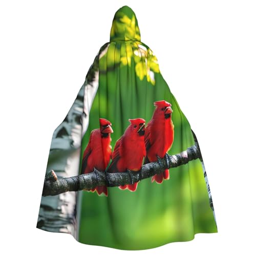 BGSHJVF Halloween Kostüm Umhang Birkenholz Druck für alle, übergroßen Mantel mit Kapuze für Erwachsene, für Party, Fanced Ball BGSHJVF Halloween Kostüm Umhang Birkenholz Druck für alle, übergroßen Mantel mit Kapuze für Erwachsene, für Party, Fanced Ball von BGSHJVF