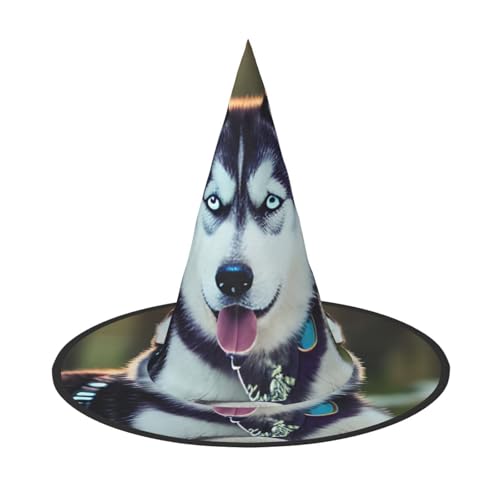 BGSHJVF Husky Hund Druck Halloween Hexenhut Cosplay Caps Halloween Dekoration Kostüm Zubehör für Halloween Party BGSHJVF Husky Hund Druck Halloween Hexenhut Cosplay Caps Halloween Dekoration Kostüm Zubehör für Halloween Party von BGSHJVF