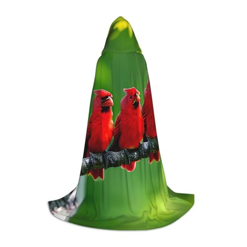 BGSHJVF Kapuzenumhang mit Birkenbäumen für Herren, Zauberer, Vampir und Halloween-Kostüme, für Rollenspiele und Partys BGSHJVF Kapuzenumhang mit Birkenbäumen für Herren, Zauberer, Vampir und Halloween-Kostüme, für Rollenspiele und Partys von BGSHJVF