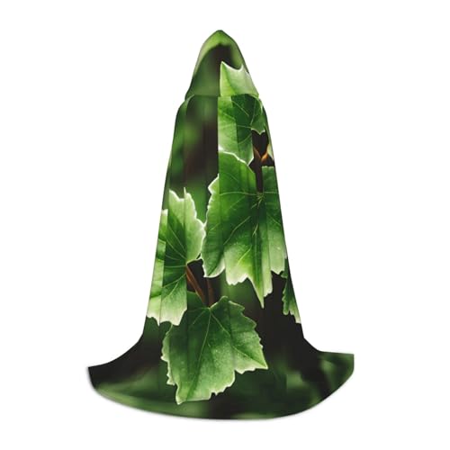 Umhang mit Kapuze für Herren, Zauberer, Vampir und Halloween-Kostüme, für Rollenspiele und Partys Umhang mit Kapuze für Herren, Zauberer, Vampir und Halloween-Kostüme, für Rollenspiele und Partys von BGSHJVF