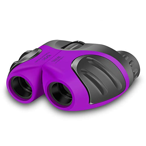 Kinder Fernglas Spielzeug,BIBOYELF 8x12 Teleskop FÜR Outdoor-Spielzeug FÜR Mädchen Von 3-12 Jahren,EIN Cooles Spielzeug FÜR 4-8 Jährige Jungs(Lila) von JRD&BS WINL