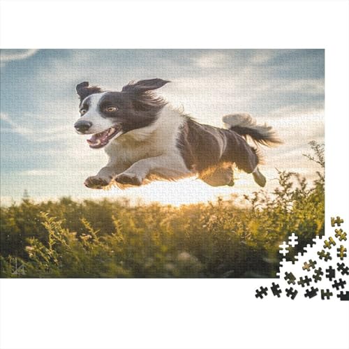 Border Collie 1000 Teile, Impossible Puzzle,Geschicklichkeitsspiel Für Die Ganze Familie, Erwachsenenpuzzle Ab 14 Jahren Puzzel 1000pcs (75x50cm) von BIDLEAHDV
