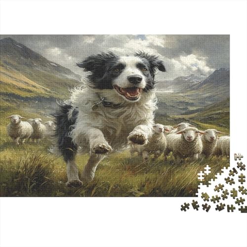 Border Collie 1000 Teile Puzzle, Puzzles Für Erwachsene, 1000 Teile Puzzlespiel Für Jugendliche & Erwachsene Puzzlespiel Puzzel 1000pcs (75x50cm) von BIDLEAHDV