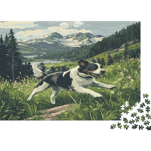 Border Collie Puzzle 1000 Teile Puzzle Für Erwachsene Und Kinder Ab 14 Jahren Puzzel 1000pcs (75x50cm) von BIDLEAHDV