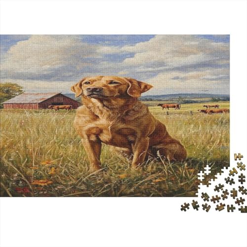 Irischer Setter 1000 Stück Puzzles Für Erwachsene Teenager Stress Abbauen Familien-Puzzlespiel 1000-teiliges Puzzle Kinder Lernspiel Spielzeug Geschenk Puzzel 1000pcs (75x50cm) von BIDLEAHDV