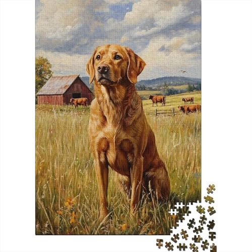 Irish Setter Puzzle 1000-teilige Schwer Puzzle Spielzeug Pädagogisches Spiel Impossible Herausforderung Spielzeug Für Erwachsene Und Kinder Ab 12 Jahren 1000pcs (75x50cm) von BIDLEAHDV