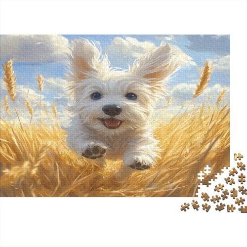 Maltesischr Hund Puzzle 1000 Teile Erwachsener Kniffel Spaß Für Die Ganze Familie - Abwechslungsreiche 1000 Puzzleteilige Motive Puzzlespiel Erwachsene, Puzzel 1000pcs (75x50cm) von BIDLEAHDV
