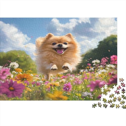 Pommersch Puzzle 1000 Teile Puzzle Für Erwachsene Und Kinder Ab 14 Jahren Puzzel 1000pcs (75x50cm) von BIDLEAHDV