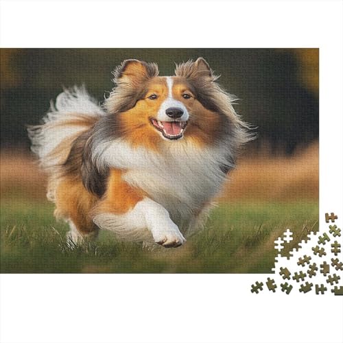 Shetland SchafeHund Puzzlespiel 1000 Teile Erwachsene -Puzzle 1000 Stück Spiel Puzzles Für Erwachsene Kinder Puzzle Erwachsenen Puzzlespiel Puzzel 1000pcs (75x50cm) von BIDLEAHDV