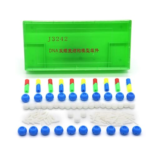 Educational DNA Models Set DNA Components Models DNA Genetic Structure Models For Organic Chemie Learning Educational DNA Models Set DNA Components Models DNA Genetic Structure Models For Organic Chemie Learning von BIGULA