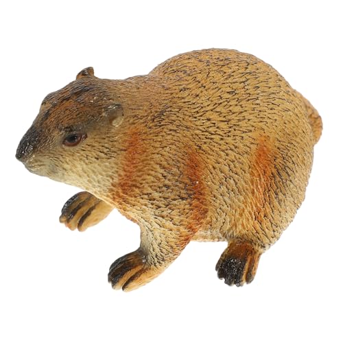 BIUDECO Groundhog Figurine Realistisches Modell Für Dekoration Und Spielzeug Für Kinderzimmer Klassenzimmer Heimdeko Lebendige Wildtier Statue BIUDECO Groundhog Figurine Realistisches Modell Für Dekoration Und Spielzeug Für Kinderzimmer Klassenzimmer Heimdeko Lebendige Wildtier Statue von BIUDECO