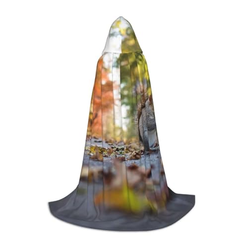 BJNGHKLN Halloween-Umhang mit Kapuze, bodenlang, niedlicher Eichhörnchen-Druck, langer Kapuzenumhang für Teenager BJNGHKLN Halloween-Umhang mit Kapuze, bodenlang, niedlicher Eichhörnchen-Druck, langer Kapuzenumhang für Teenager von BJNGHKLN