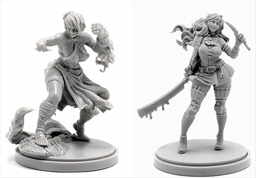 BJYCCAR 1/48 Ancient Female Samurai Warrior Resin Soldier Kit Unbemalt und unmontiert Resin Modell (2 Personen) //D9X8g1 von BJYCCAR