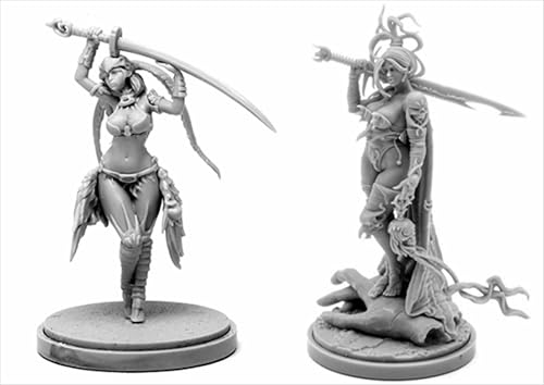 BJYCCAR 1/48 Ancient Female Samurai Warrior Resin Soldier Kit Unbemalt und unmontiert Resin Modell (2 Personen) //D9X8g24 von BJYCCAR