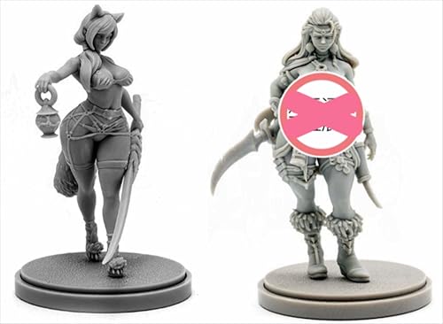 BJYCCAR 1/48 Ancient Female Samurai Warrior Resin Soldier Kit Unbemalt und unmontiert Resin Modell (2 Personen) //D9X8g48 von BJYCCAR