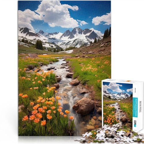 Puzzle für Erwachsene, 1000 Teile Poster Frühlingsberge für Lernspiel-Herausforderungsspielzeug Geburtstagsgeschenk 26x38cm von BKDNNUJR