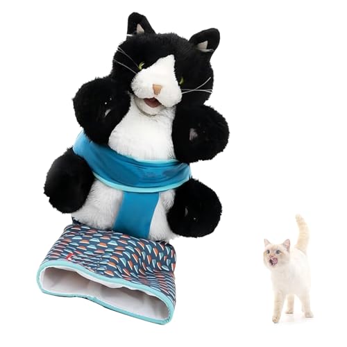 Katzen Handpuppe, Katze Puppe Spielzeug, Ringen Handschuhe StabilitäTsmatte, Safe Play PlüSchtiere, Katze Puppe Wrestler von BKGBQAOW