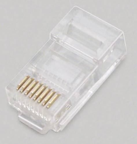 BKL Electronic Modular-Stecker, 8P8C für Rundkabel 143042 Polzahl 8P8C von BKL Electronic