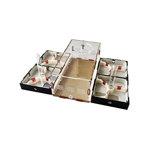 Ameisenfarm Ameisenfarm Nest mit großem Aktivitätsbereich und Wasserturm, Acryl, Ameisenlebensraum, Wissenschaft, Lernset, Studium des Insektenverhaltens und Ökosystems, lebende Ameisen und Königin von BKSIVG