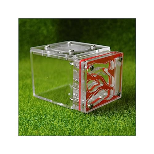 Ameisenfarm Kleines Ameisenfarm Nest Würfelform Acryl Mini Ameisenlebensraum Wissenschaft Lernset 3D Labyrinth Ökosystem für Kinder Studium Ameisen, 7,7 x 6 x 5,3 cm, lebende Ameisen und Königin von BKSIVG