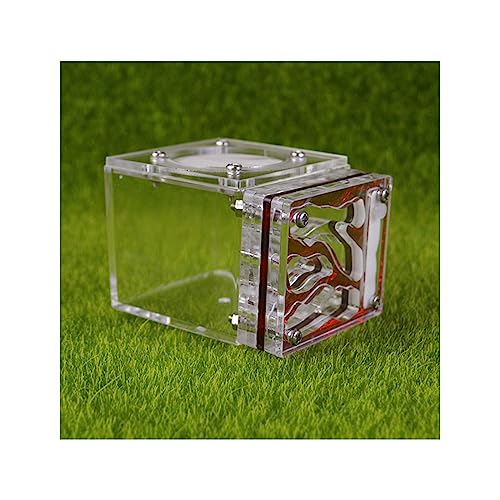 Ameisenfarm Kleines Ameisenfarm Nest Würfelform Acryl Mini Ameisenlebensraum Wissenschaft Lernset 3D Labyrinth Ökosystem für Kinder Studium Ameisen, 7,7 x 6 x 5,3 cm, lebende Ameisen und Königin von BKSIVG