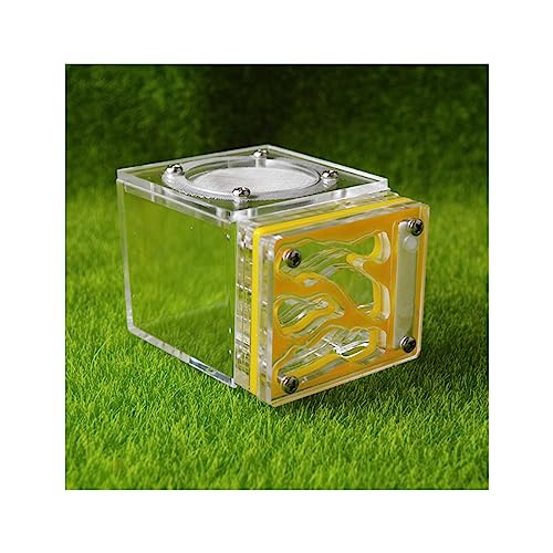 Ameisenfarm Kleines Ameisenfarm Nest Würfelform Acryl Mini Ameisenlebensraum Wissenschaft Lernset 3D Labyrinth Ökosystem für Kinder Studium Ameisen, 7,7 x 6 x 5,3 cm, lebende Ameisen und Königin von BKSIVG
