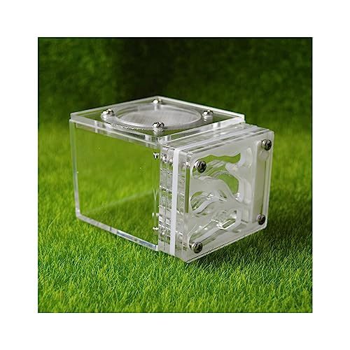 Ameisenfarm Kleines Ameisenfarm Nest Würfelform Acryl Mini Ameisenlebensraum Wissenschaft Lernset 3D Labyrinth Ökosystem für Kinder Studium Ameisen, 7,7 x 6 x 5,3 cm, lebende Ameisen und Königin von BKSIVG