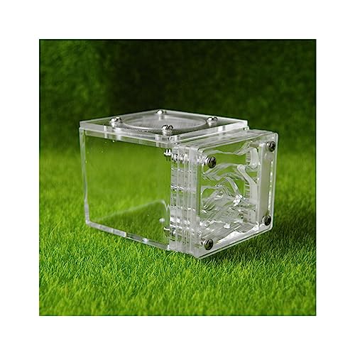 Ameisenfarm Kleines Ameisenfarm Nest Würfelform Acryl Mini Ameisenlebensraum Wissenschaft Lernset 3D Labyrinth Ökosystem für Kinder Studium Ameisen, 7,7 x 6 x 5,3 cm, lebende Ameisen und Königin von BKSIVG