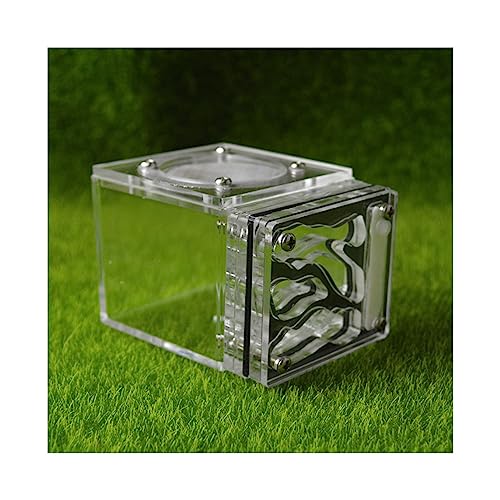 Ameisenfarm Kleines Ameisenfarm Nest Würfelform Acryl Mini Ameisenlebensraum Wissenschaft Lernset 3D Labyrinth Ökosystem für Kinder Studium Ameisen, 7,7 x 6 x 5,3 cm, lebende Ameisen und Königin von BKSIVG