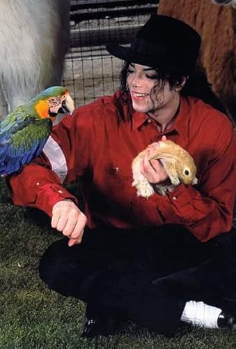 BLIJR Puzzle 200 Teile Erwachsene und Kinder Michael Joseph Jackson US-amerikanischer Popsänger Michael Jackson Holz Puzzles Stress Freisetzung Spiel 200 Piece 13.7x9.8inch(35x25cm) Kein Rahmen von BLIJR