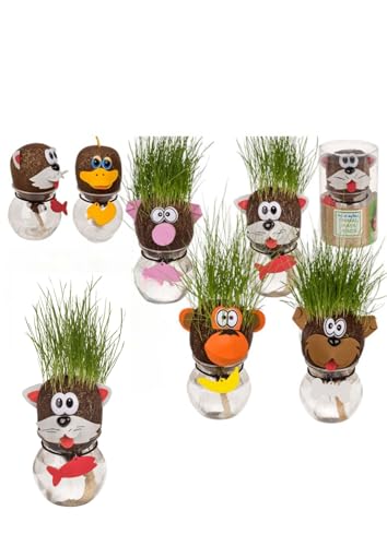 BLUECHOLON Lernspielzeug für Tiere mit wachsendem Gras, Hund, Affe, Ente und Katze. von BLUECHOLON
