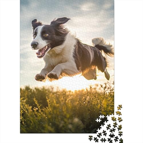 Border Collie Puzzles 1000-teilige Schwer Puzzle Spielzeug Lernspiel Impossible Herausforderungsspielzeug Für Erwachsene Und Kinder in Bewährter 1000pcs (75x50cm) von BLWZXPQMT