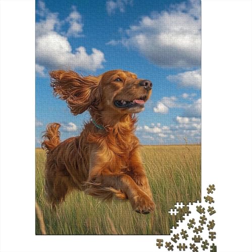 Irish Setter Puzzle 1000 Teile Schwer Puzzle Spielzeug Pädagogisches Spiel Impossible Herausforderungsspielzeug Für Erwachsene Und Kinder in Bewährter 1000pcs (75x50cm) von BLWZXPQMT