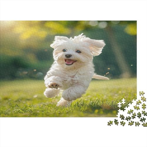 Maltese Hund Puzzlespiel 1000 Teile Für Erwachsene, Einzigartige Kunstwerke Und Vorlage - Geburtstagsgeschenk - Spaßige Puzzles Mit Überraschung Von Puzzle in A Bag Puzzel 1000pcs (75x50cm) von BOAHZCJEG
