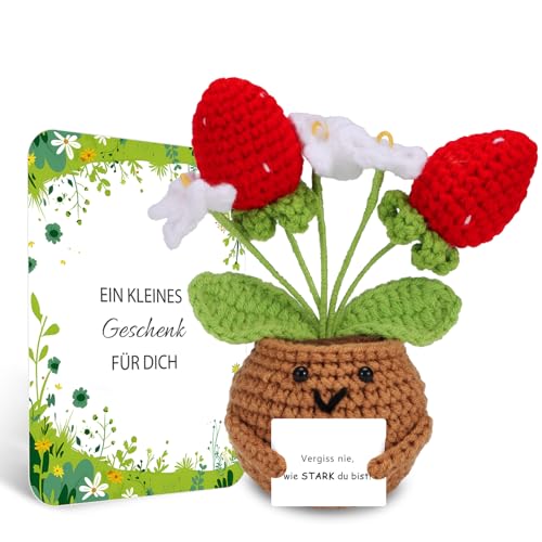 BOAITE Geschenke für Frauen Beste Freundin Mutmacher Geschenk Gestrickte Vergissmeinnicht Geschenke Mama Schwester Kollegin Geburtstagsgeschenk Frauen (Erdbeeren) von BOAITE