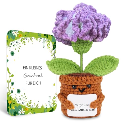 BOAITE Geschenke für Frauen Beste Freundin Mutmacher Geschenk Gestrickte Vergissmeinnicht Geschenke Mama Schwester Kollegin Geburtstagsgeschenk Frauen (Nelken) von BOAITE