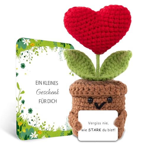 BOAITE Geschenke für Frauen Beste Freundin Mutmacher Geschenk Gestrickte Vergissmeinnicht Geschenke Mama Schwester Kollegin Geburtstagsgeschenk Frauen (Rote herzförmige Blüten) von BOAITE