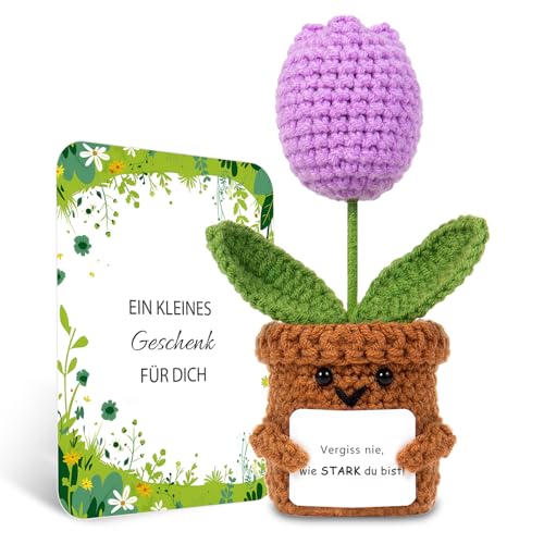 BOAITE Geschenke für Frauen Beste Freundin Mutmacher Geschenk Gestrickte Vergissmeinnicht Geschenke Mama Schwester Kollegin Geburtstagsgeschenk Frauen (Tulpen) von BOAITE