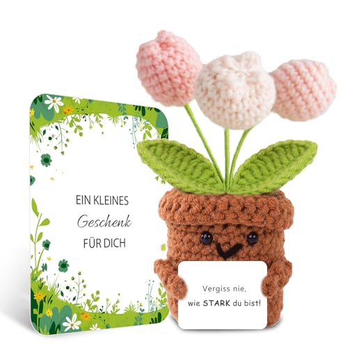 BOAITE Geschenke für Frauen Beste Freundin Mutmacher Geschenk Gestrickte Vergissmeinnicht Geschenke Mama Schwester Kollegin Geburtstagsgeschenk Frauen (Tulpen B) von BOAITE
