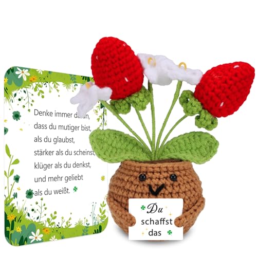 BOAITE Kleiner Glücksbringer Gestrickte Vergissmeinnicht Ermutigende Geschenke, Positive Kartoffel Deutsch Ersatz, Geschenke zur Einschulung (Erdbeeren) von BOAITE