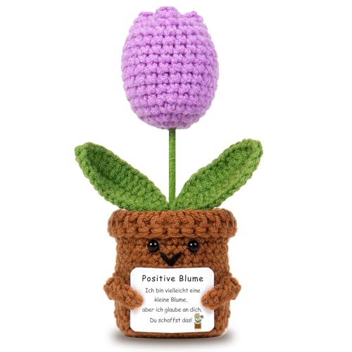 Pocket Hug Positive Blume, Kreative Strickwolle Sonnenblume Puppe und Glücksbringer-Gefühlskarten, Mutmacher Geschenk, Gute Besserung Geschenk, Einschulung Geschenk von BOAITE