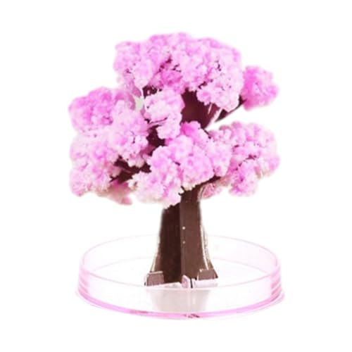 BOKIOESDE Realistischer Desktop Wachstumsbaum für inspirierende Fantasie. Wachsender Baum Sakura, magischer wachsender Baum, Blütenbaum Spielzeug, Rosa Sakura von BOKIOESDE