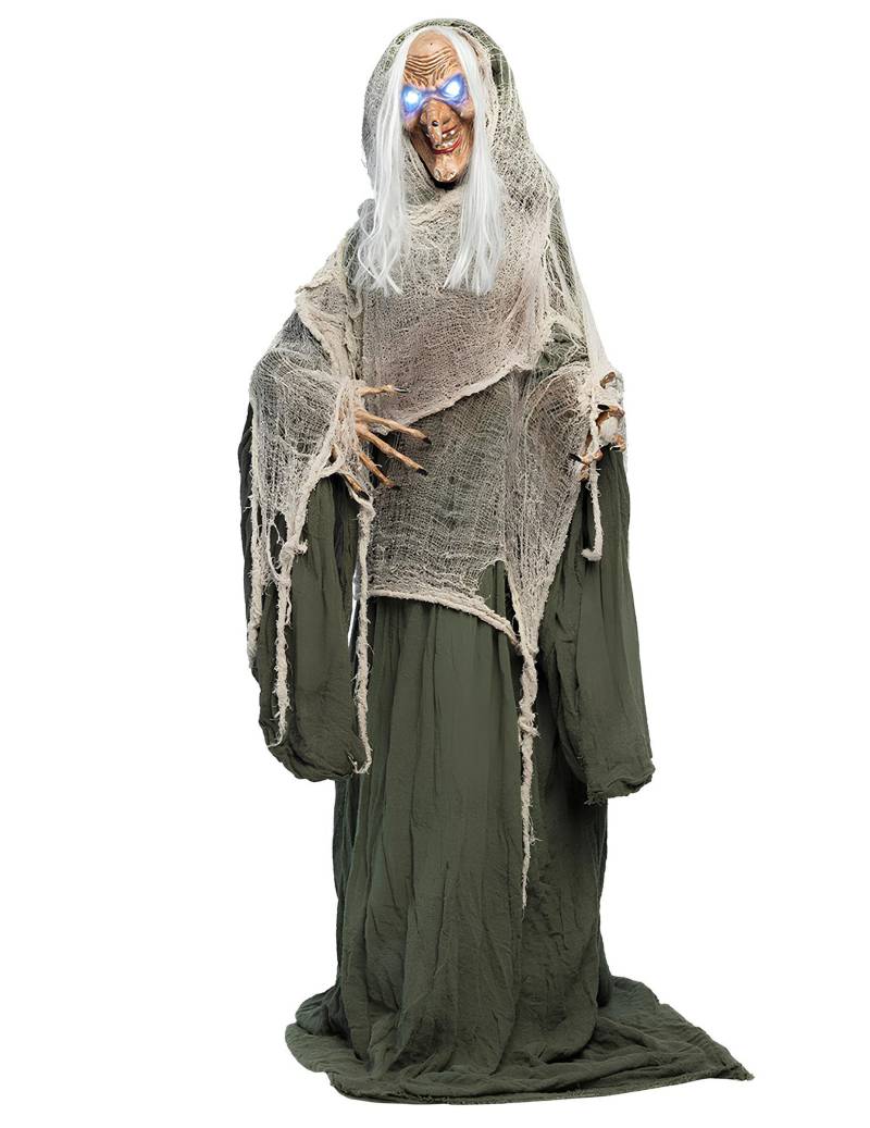Horrorhexe Andromeda mit Lichtaugen 153 cm von BOLAND BV