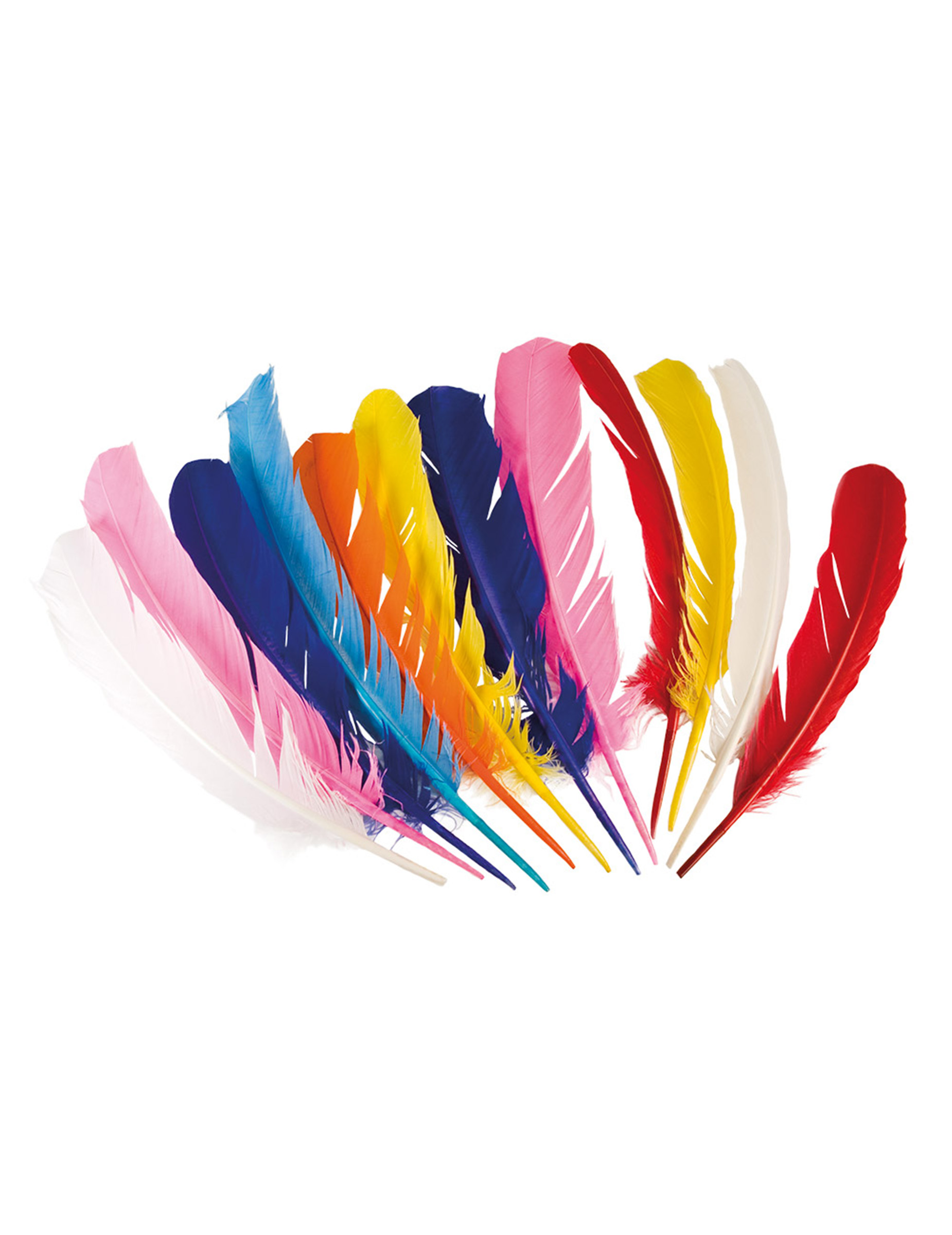 Indianer Federn Party-Deko 12 Stück bunt 30cm Indianer Federn Party-Deko 12 Stück bunt 30cm von BOLAND BV